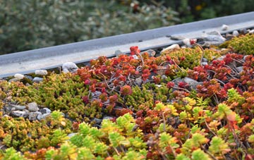 the cost of Troon green roof installation