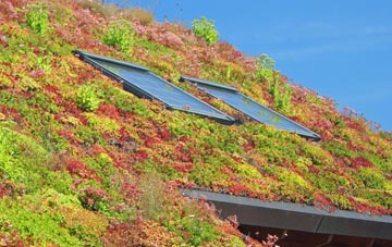 Troon living roof systems